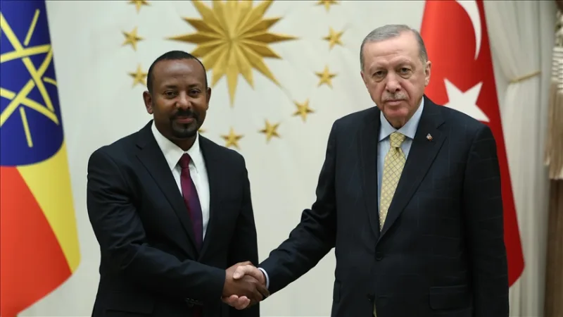 President Erdoğan's visit to Ethiopia: New geopolitical balance in the Horn of Africa